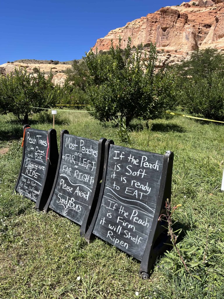 Signs at a pick your own orchard in Capitol Reef