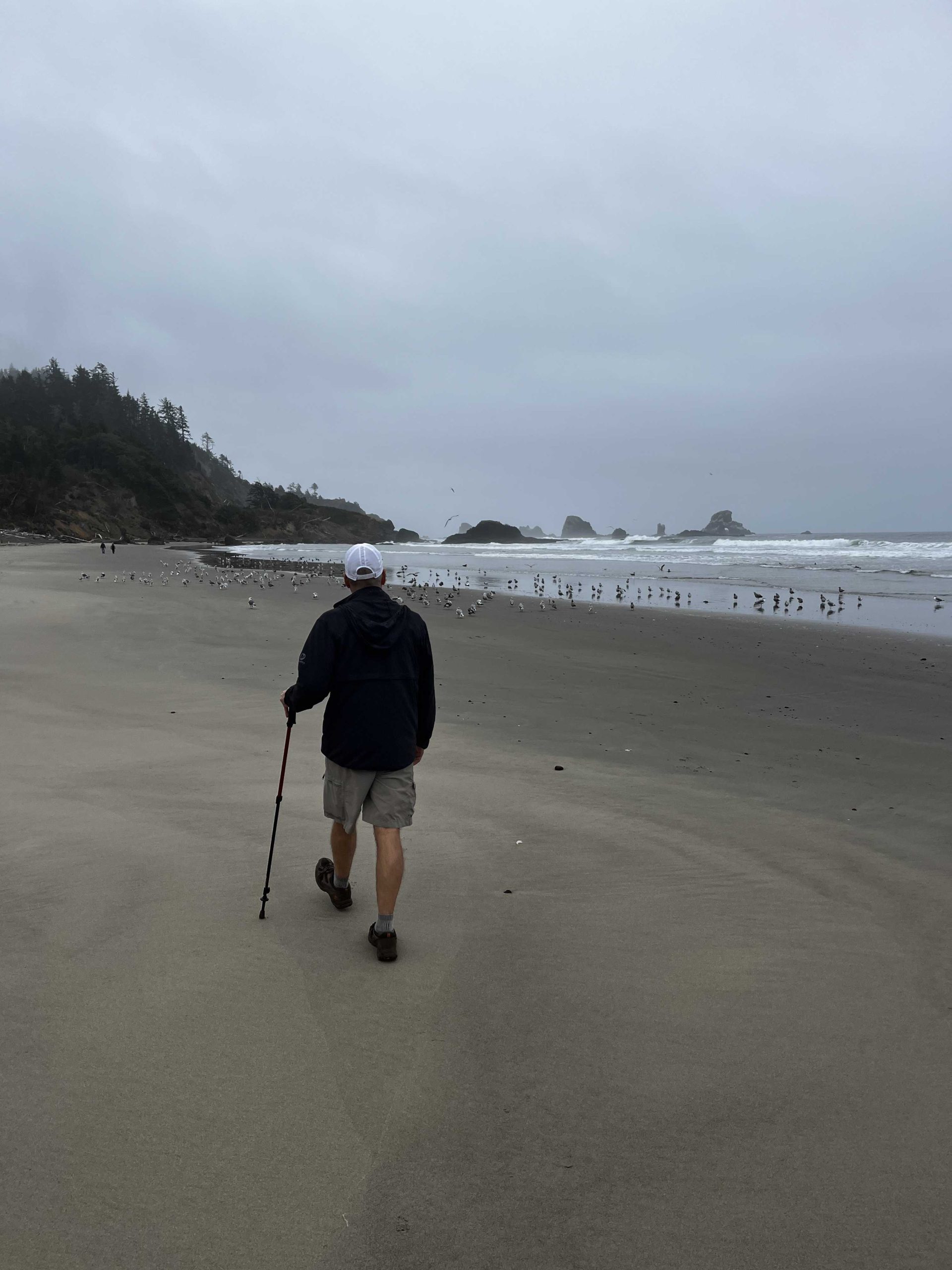 Hiking along Cannon Beach Oregon
