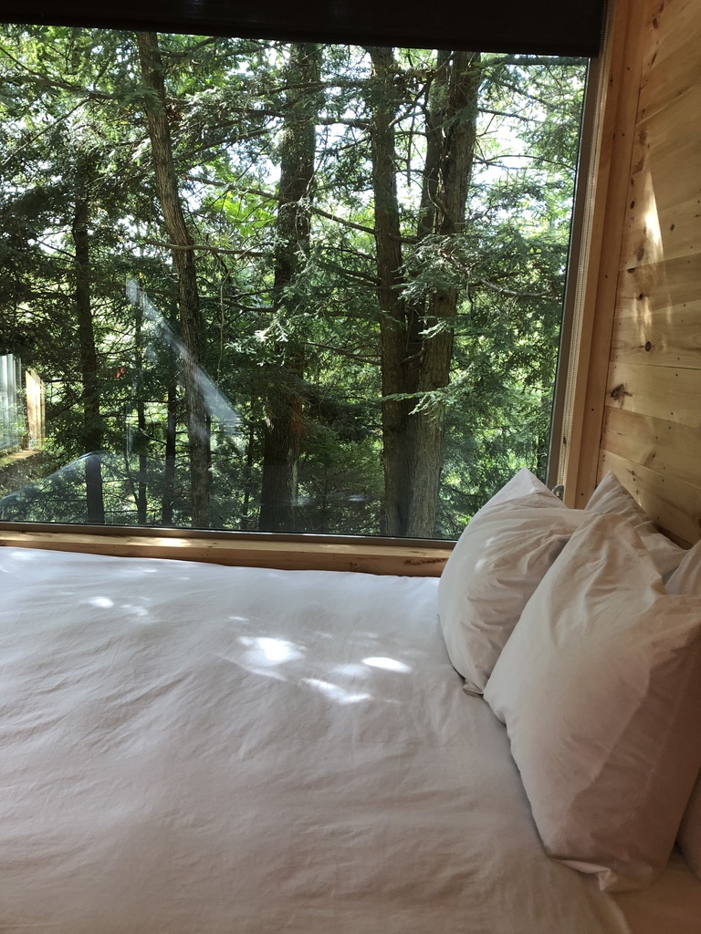 View out the window to the woods at the Getaway cabin