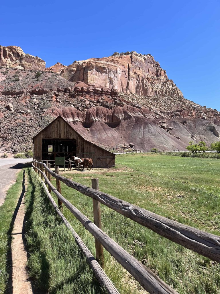 Barn at Gifford House in Fruita with horses and rock formation in background
