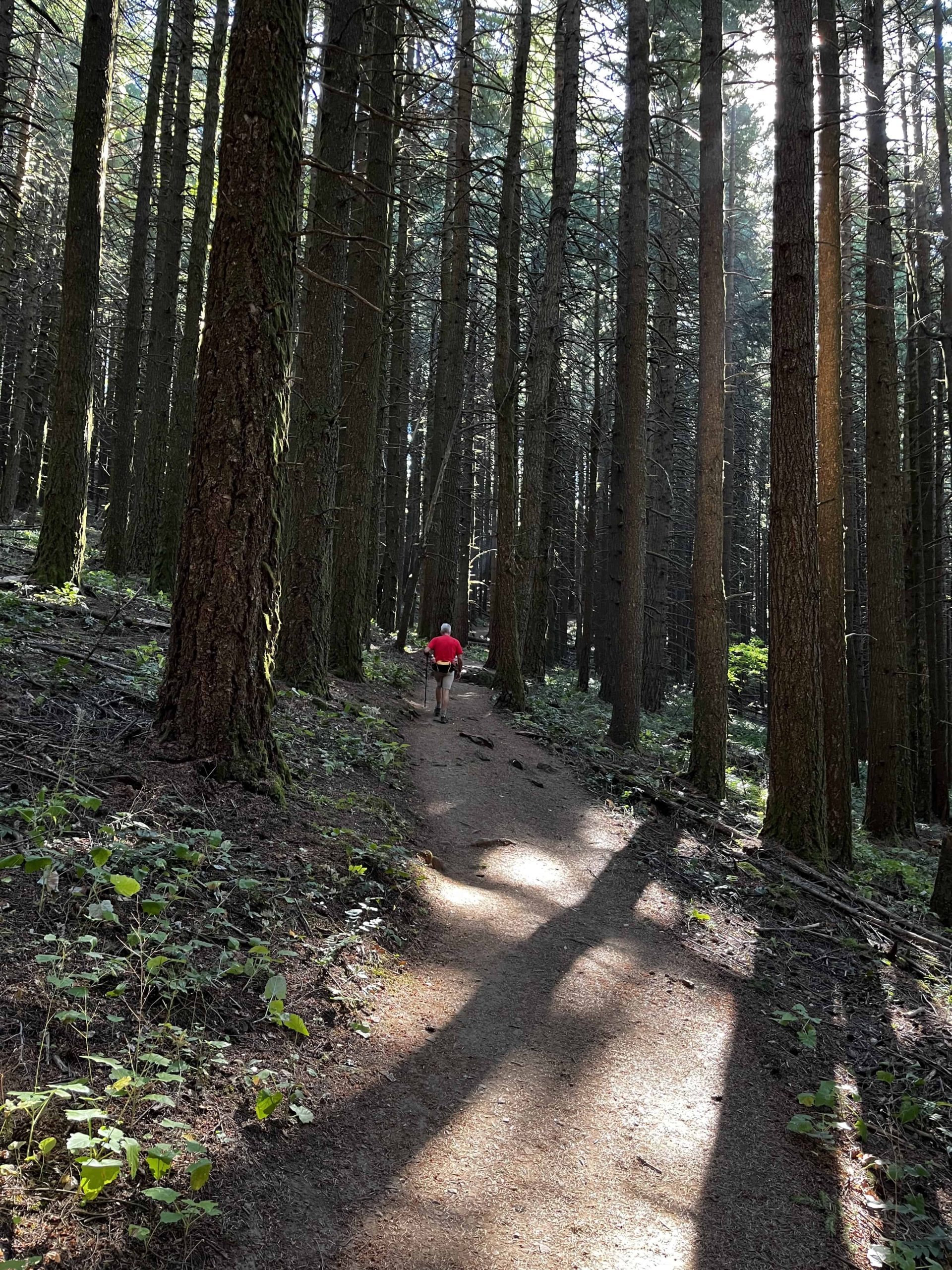 Hike in Oregon forest man walking in red shirt on hiking trail