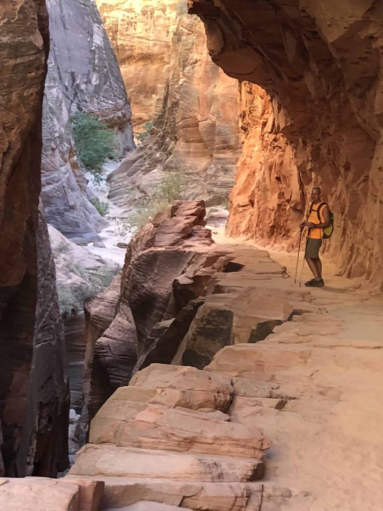 Hike a trail in Zion National Park