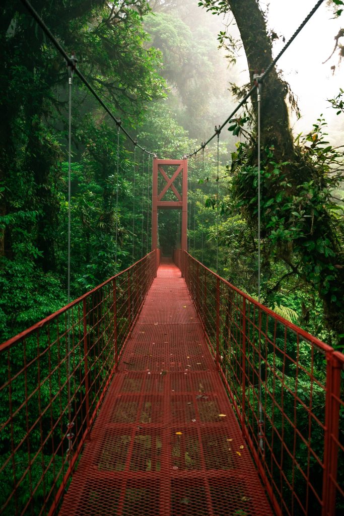 Monteverde Bridge