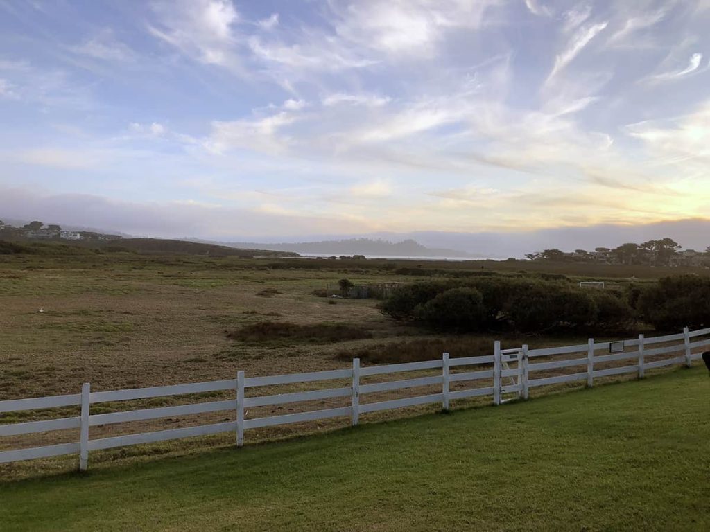 View of the pasture and coast line at the Mission Ranch Restaurant.
