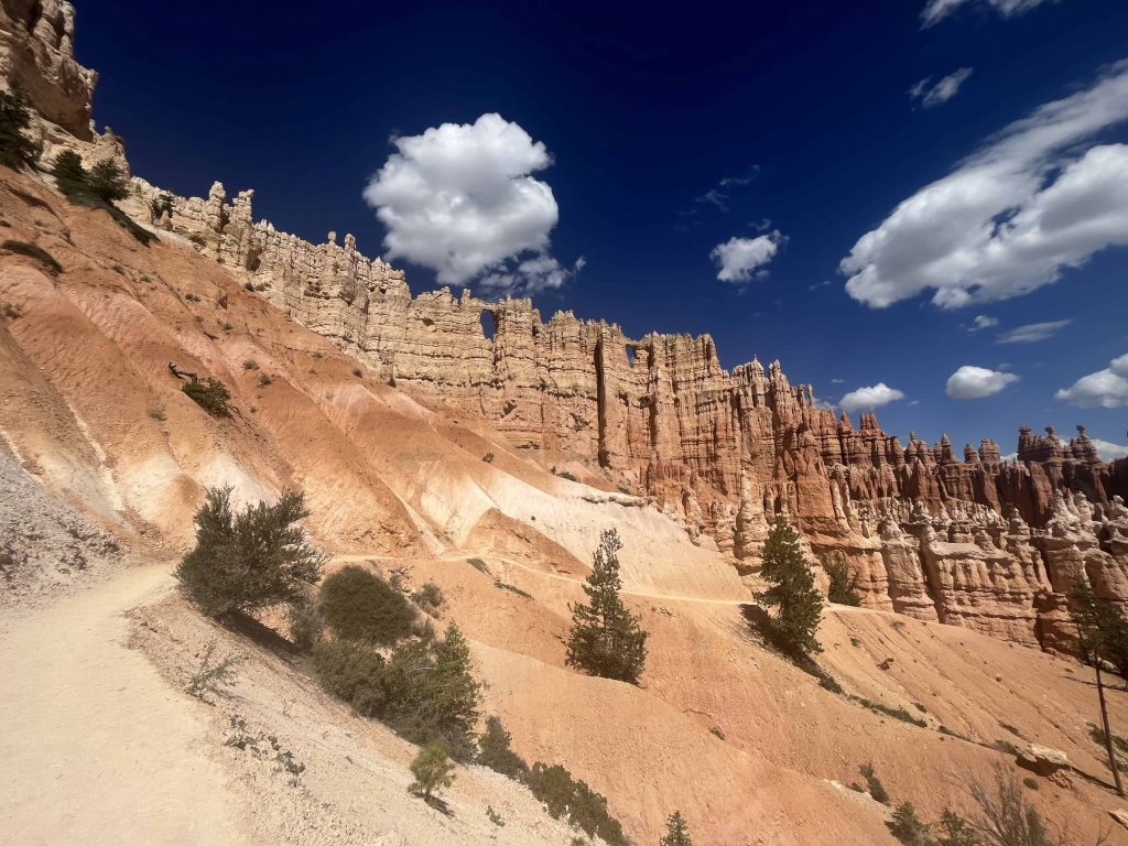 Stunning wall of hoodoos in Bryce Canyon.