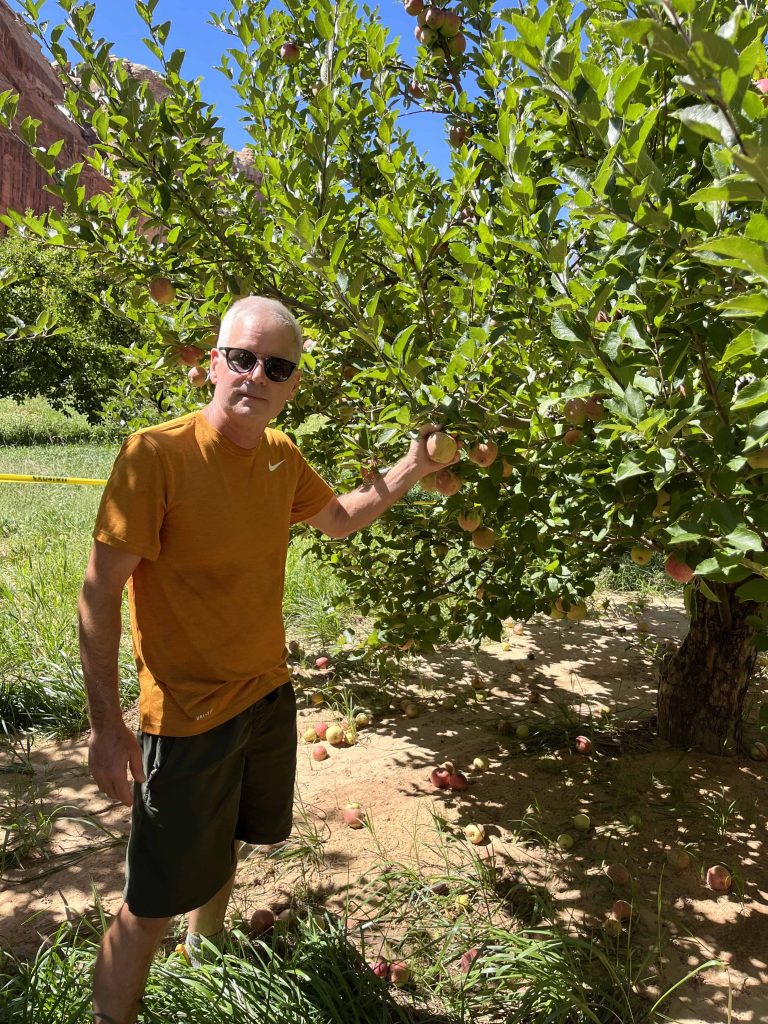 Mike picking fruit in Capitol Reef National Park during a fall visit.