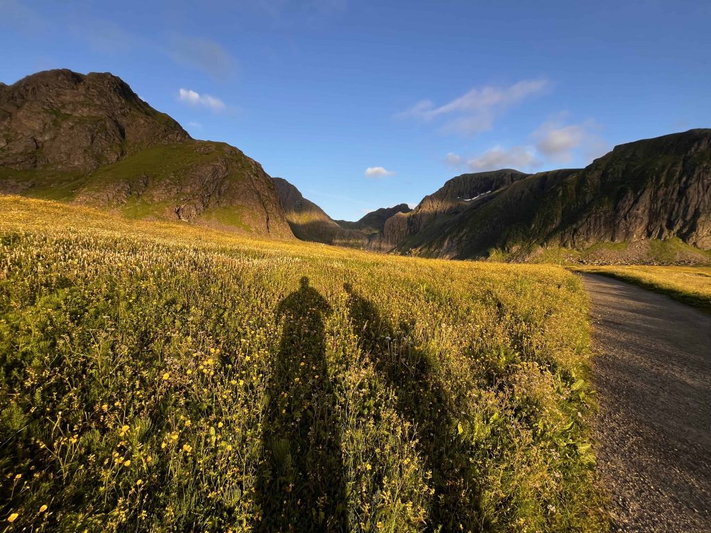 Two shadows in the glow of the midnight sun in the Lofoten Islands,